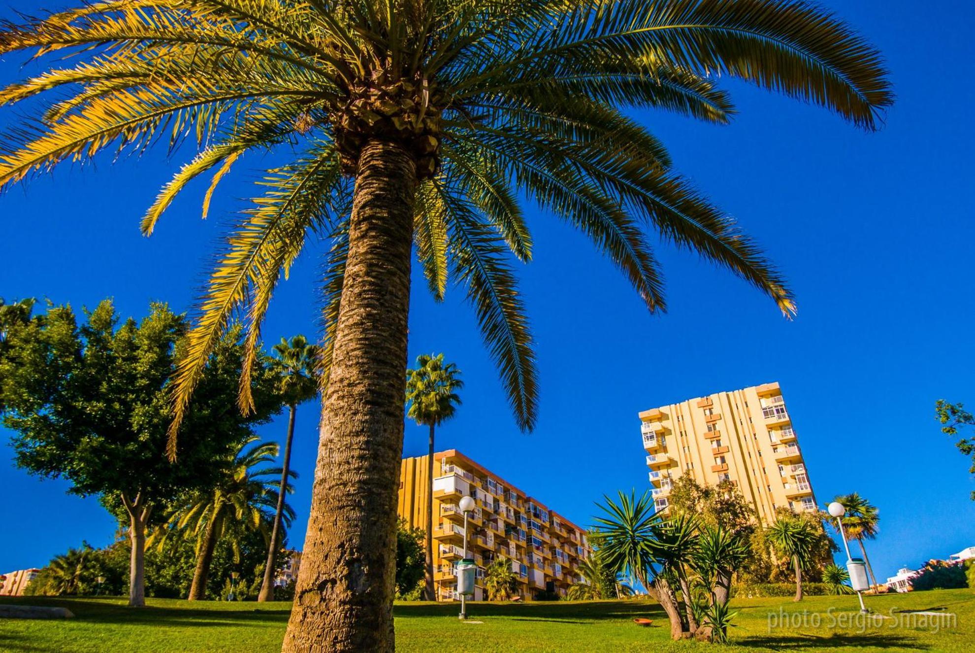 426 Estudio En Minerva Apartamentos - Vista Al Jardin - Piscina Y Playa Benalmádena Exterior foto